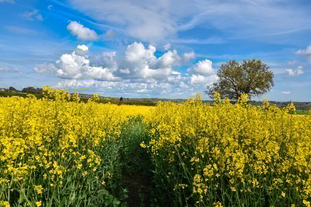 This beautiful scene was snapped near Ogston Reservoir by Dave Long.