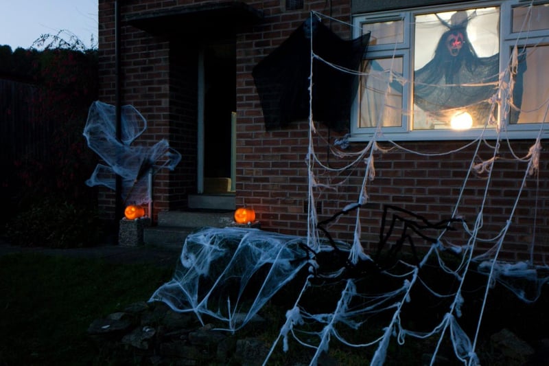 A truly creepy sight, with another giant spider nestled in a web ay Agnese Lupiķe's home