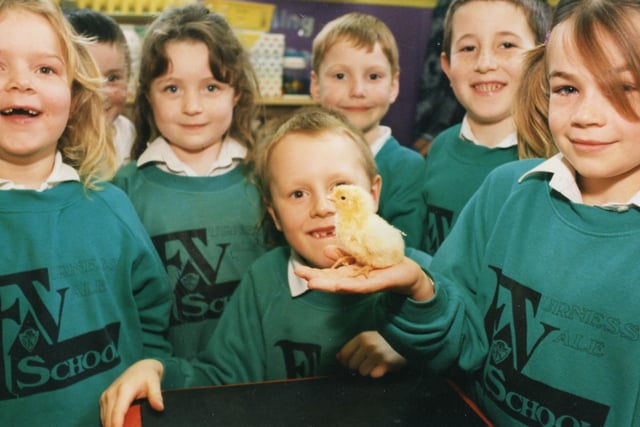 Buxton Advertiser archive, Furness Vale Primary pupils with an Easter chick in 1997