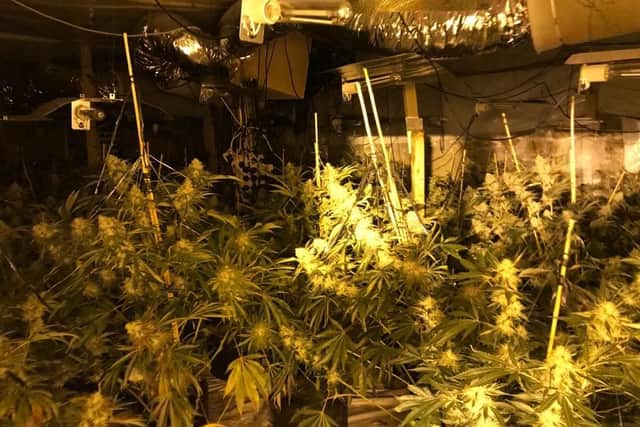 Two people have been arrested and cannabis was found during police searches at properties in Peak Dale and Buxton