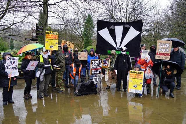 Derbyshire Against The Cull protest in Matlock. Pictures by Brian Eyre.