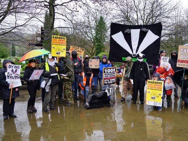 Derbyshire Against The Cull protest in Matlock. Pictures by Brian Eyre.