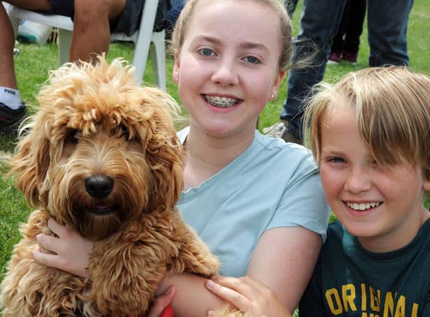 Could your pooch gets its paws on a prize at the RSPCA dog show in the Pavilion Gardens?