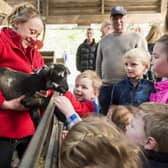 Children playing with goats at Chatsworth Farmyard. (Pic credit: Chatsworth House Trust)