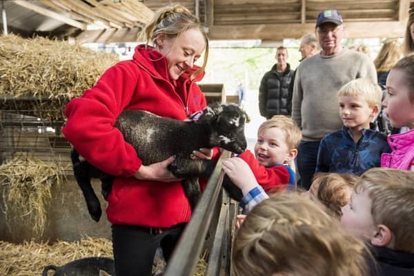 Children playing with goats at Chatsworth Farmyard. (Pic credit: Chatsworth House Trust)