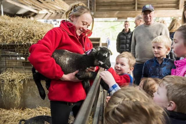 Children playing with goats at Chatsworth Farmyard. (Pic credit: Chatsworth House Trust)