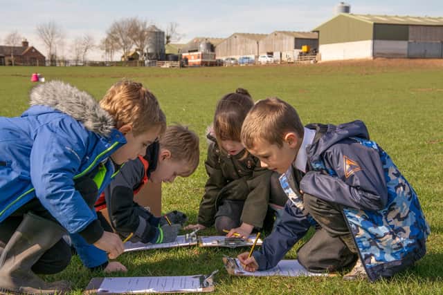 Pupils on farm with NFU Education.