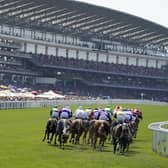 And they're off for the greatest Flat race meeting of the year. Royal Ascot features 35 races over five glorious days. Check out our guide to 12 of the best horses set to run at the meeting.