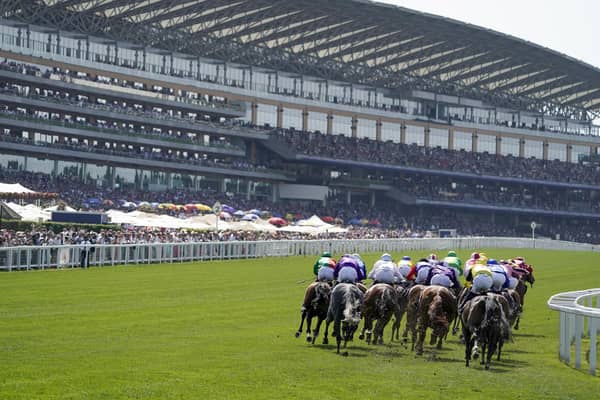 And they're off for the greatest Flat race meeting of the year. Royal Ascot features 35 races over five glorious days. Check out our guide to 12 of the best horses set to run at the meeting.