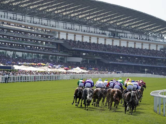And they're off for the greatest Flat race meeting of the year. Royal Ascot features 35 races over five glorious days. Check out our guide to 12 of the best horses set to run at the meeting.