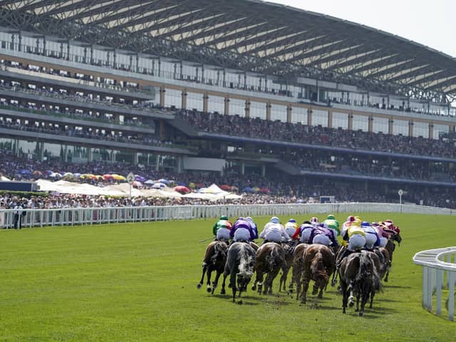 And they're off for the greatest Flat race meeting of the year. Royal Ascot features 35 races over five glorious days. Check out our guide to 12 of the best horses set to run at the meeting.
