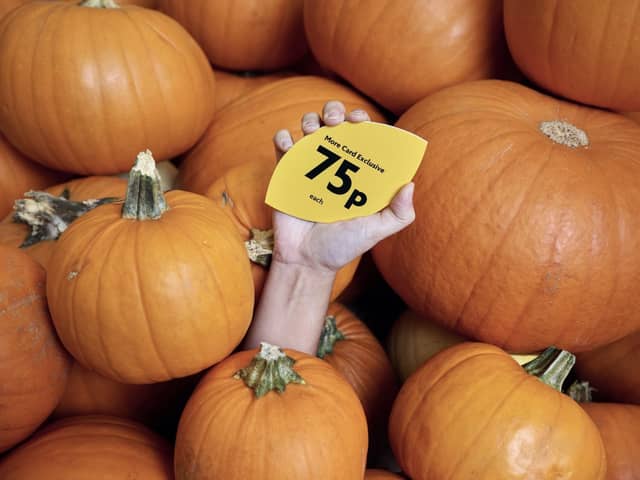 Pick up a pumpkin for 75p.
