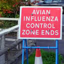 The number of bird flu cases in Derbyshire has spiked.