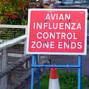 The number of bird flu cases in Derbyshire has spiked.