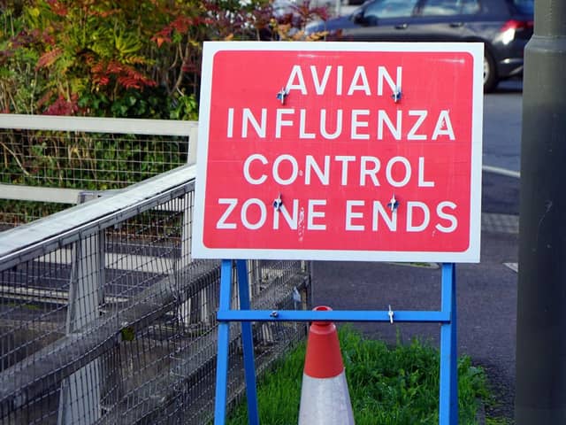 The number of bird flu cases in Derbyshire has spiked.