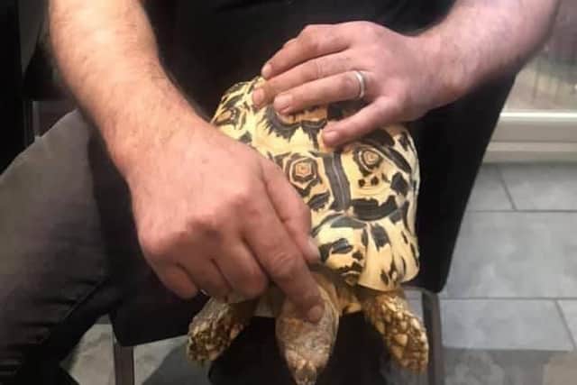 Slash the tortoise went missing from his home in Harpur Hill yesterday.