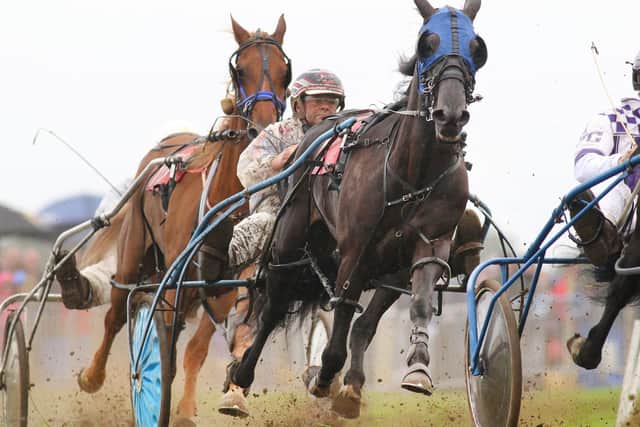 Jason Podmore, who was a harness racer will now be leading the trotters. Pic Jason Chadwick