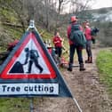Rangers carry out tree safety work in the Peak District.