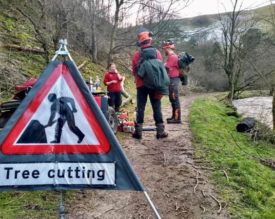 Rangers carry out tree safety work in the Peak District.