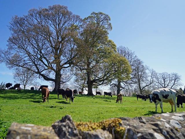 The idyllic village is perfect if you’re looking for somewhere to enjoy a relaxed stroll amid picturesque surroundings.
