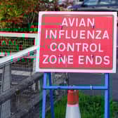An outbreak of bird flu in Bakewell was confirmed on January 17.