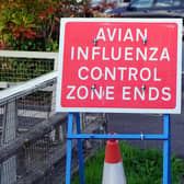 An outbreak of bird flu in Bakewell was confirmed on January 17.