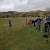 Volunteers from Hope Valley Climate Action planting the new hedgerow at Marsh Farm.