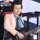 Harry Styles. Photo by Arturo Holmes/Getty Images.