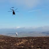 Moorland restoration at The Roaches
