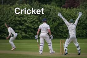Cricket news.