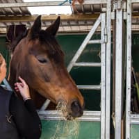 Didn’t get the A-Level grades? Buxton students can still have a dream career in animal physiotherapy