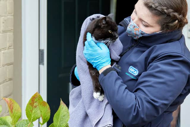 Help the RSPCA rescue teams continue their vital work in saving animals in need.