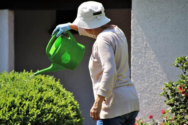 The community group allows isolated elderly people enjoy activities like gardening