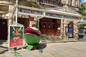 A wonderful production of Little Shop of Horrors at Buxton Opera House. Pic submitted
