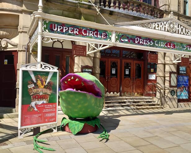 A wonderful production of Little Shop of Horrors at Buxton Opera House. Pic submitted