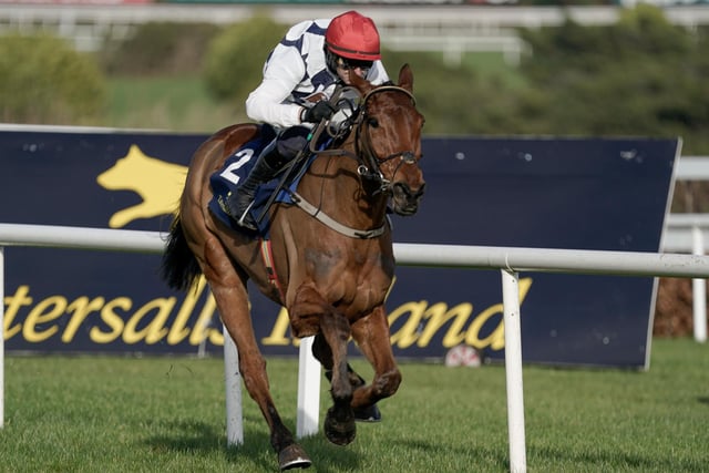 Every Cheltenham Festival, there seems to be hype surrounding an exciting novice hurdler hailed as the next champion. This year's 'beneficiary' is BALLYBURN, a 6yo winner of four of his five starts for trainer Willie Mullins and owners, potato magnate Ronnie Bartlett and football agent David Manasseh. Stepping up to Grade One company for the first time, he looked a serious tool when powering clear at the Dublin Racing Festival last month and is expected to bolt up in Wednesday's opening race, the Gallagher Novices' Hurdle (1.30).