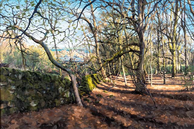 'Reaching For The Light - Corbar Wood' by Matthew Phinn took the main award, sponsored by the Trevor Osborne Charitable Trust, The Buxton Spa Company, Ensana Buxton Crescent & Thermal Spa.