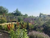 Derventio Housing Trust's Growing Lives project in Ilkeston