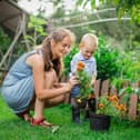 Experts at GardeningExpress.co.uk have selected their ten key tasks to complete in the garden this month.