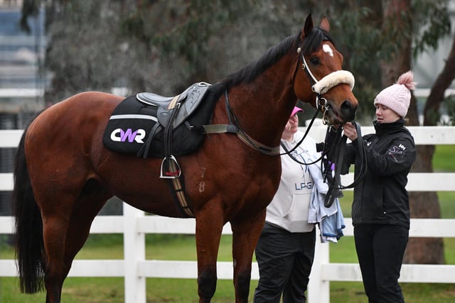 As well as Nature Strip on Tuesday, the Aussies are very much looking forward to another of their ace sprinters, Home Affairs, in Saturday's Platinum Jubilee Stakes. He's only three, but trainer Chris Waller, who saddled the amazing mare Winx to a world-record 28 Group One wins between 2014 and 2019, raves about his ability and potential. (PHOTO BY: Vince Caligiuri/Getty Images).