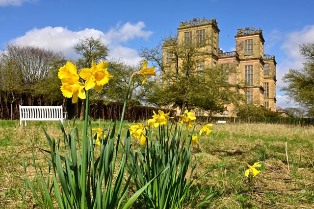 ​Spring is definitely here, as amply demonstrated in this lovely sight snapped at Hardwick Hall by Nick Rhodes.