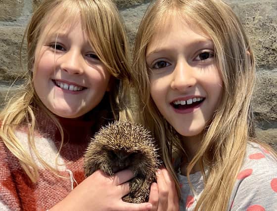 Nell Schaper, left, and her sister Elsa with Louis the hedgehog.