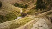 The Peak District is a big favourite with dog walkers