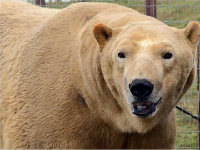 Yorkshire Wildlife Park is still open.