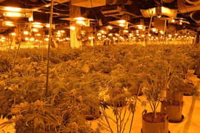 A cannabis growing operations was discovered by police above the former Marks and Spencer store in Buxton. Photo Derbyshire Police