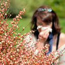 A woman blows her nose as the return of pleasant weather marks the arrival of allergenic pollen