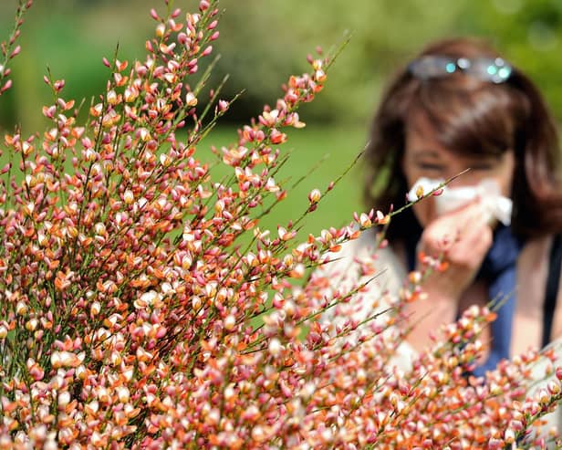 Hay-fever or COVID-19: Key differences you need to know as pollen season begins