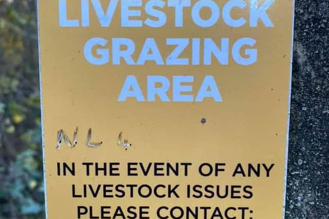 Livestock Grazing Area