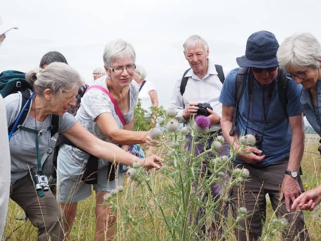 Buxton Field Club is looking for new members to join the group which enjoys a varied mix of talk and walks throughout the year. Pic submitted