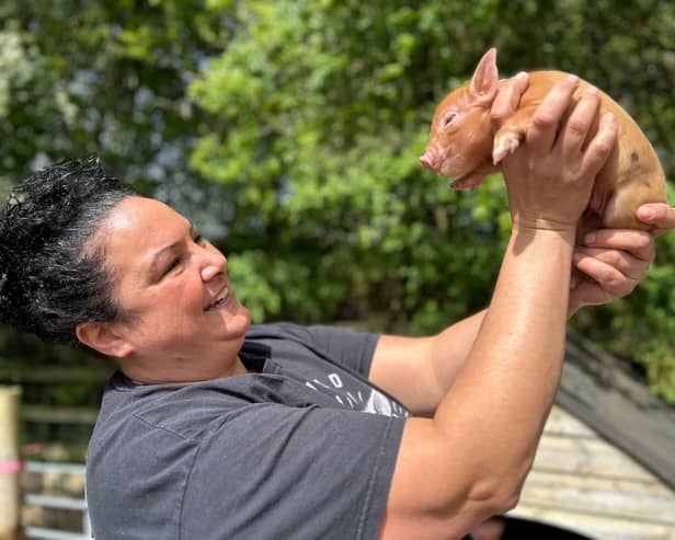 Olivia Mikhail is giving this advice to Buxton pig lovers - Animal News Agency